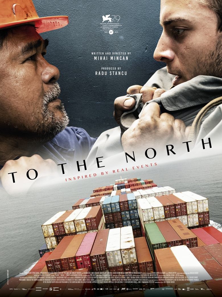 Poster of To The North