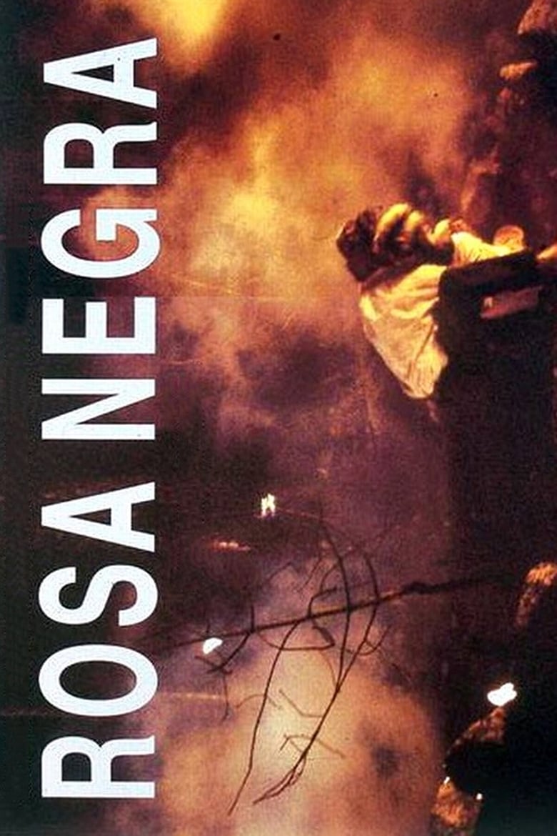 Poster of Rosa Negra