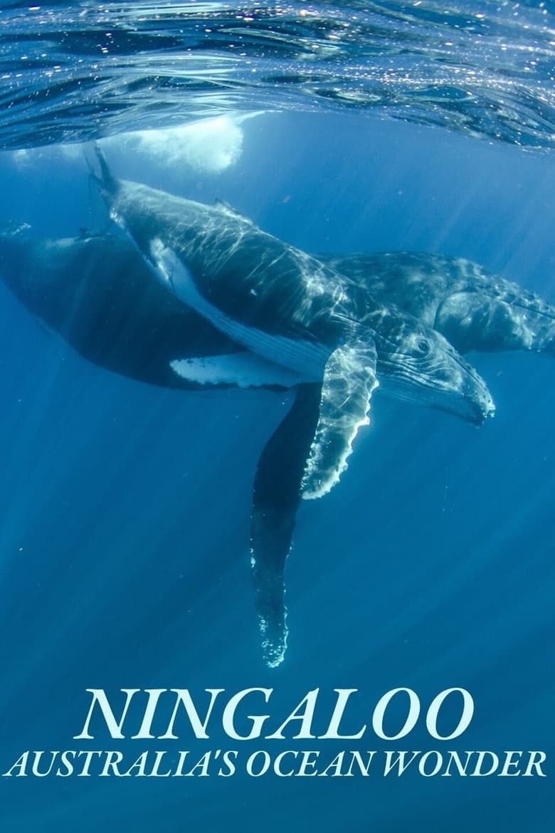 Poster of Ningaloo Nyinggulu