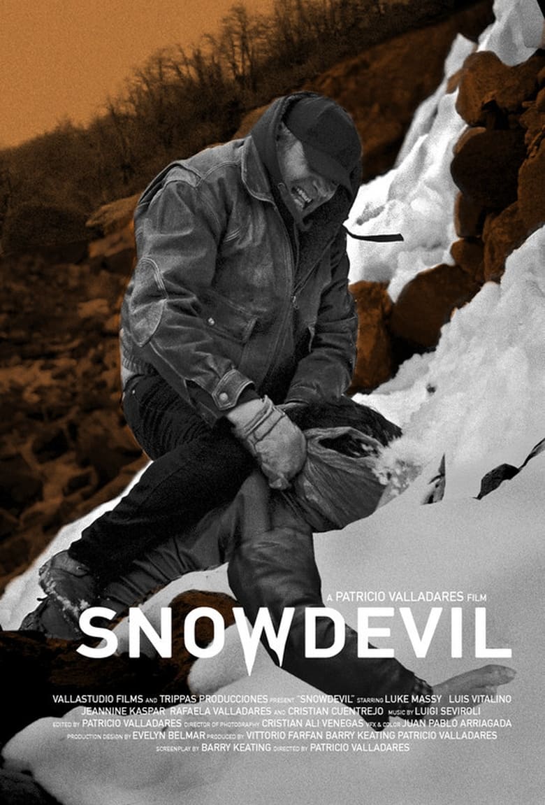 Poster of Snowdevil