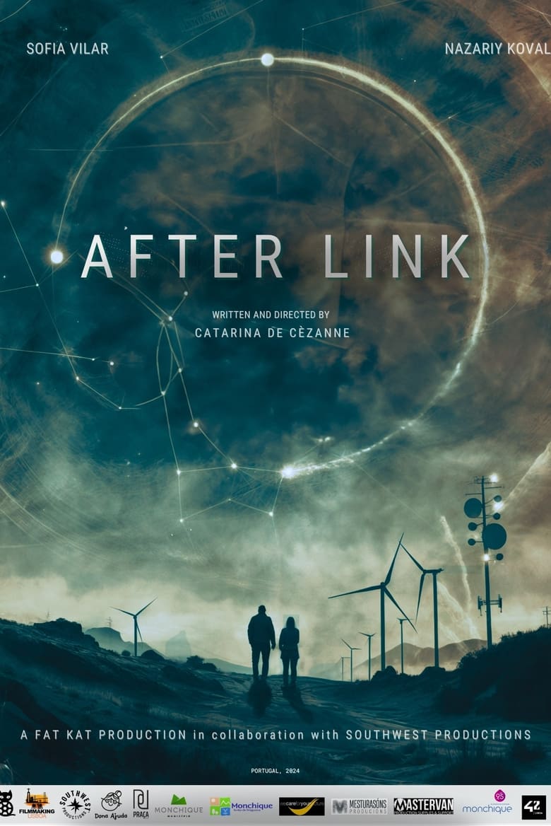 Poster of After Link