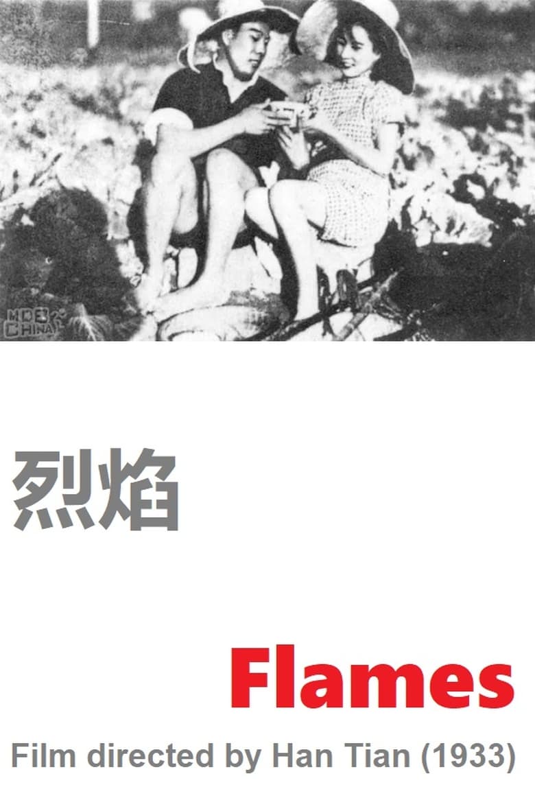 Poster of Flames