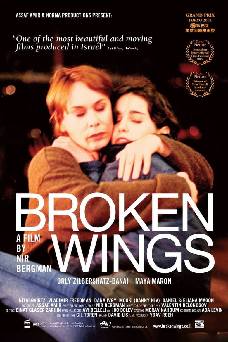 Poster of Broken Wings