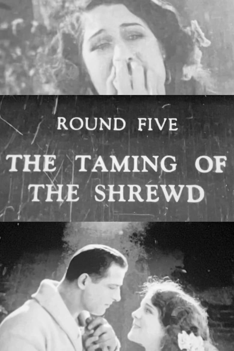 Poster of The Taming of the Shrewd