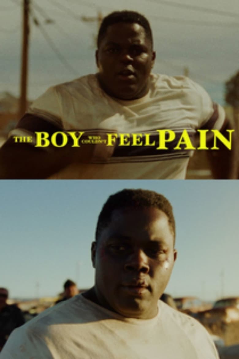 Poster of The Boy Who Couldn’t Feel Pain