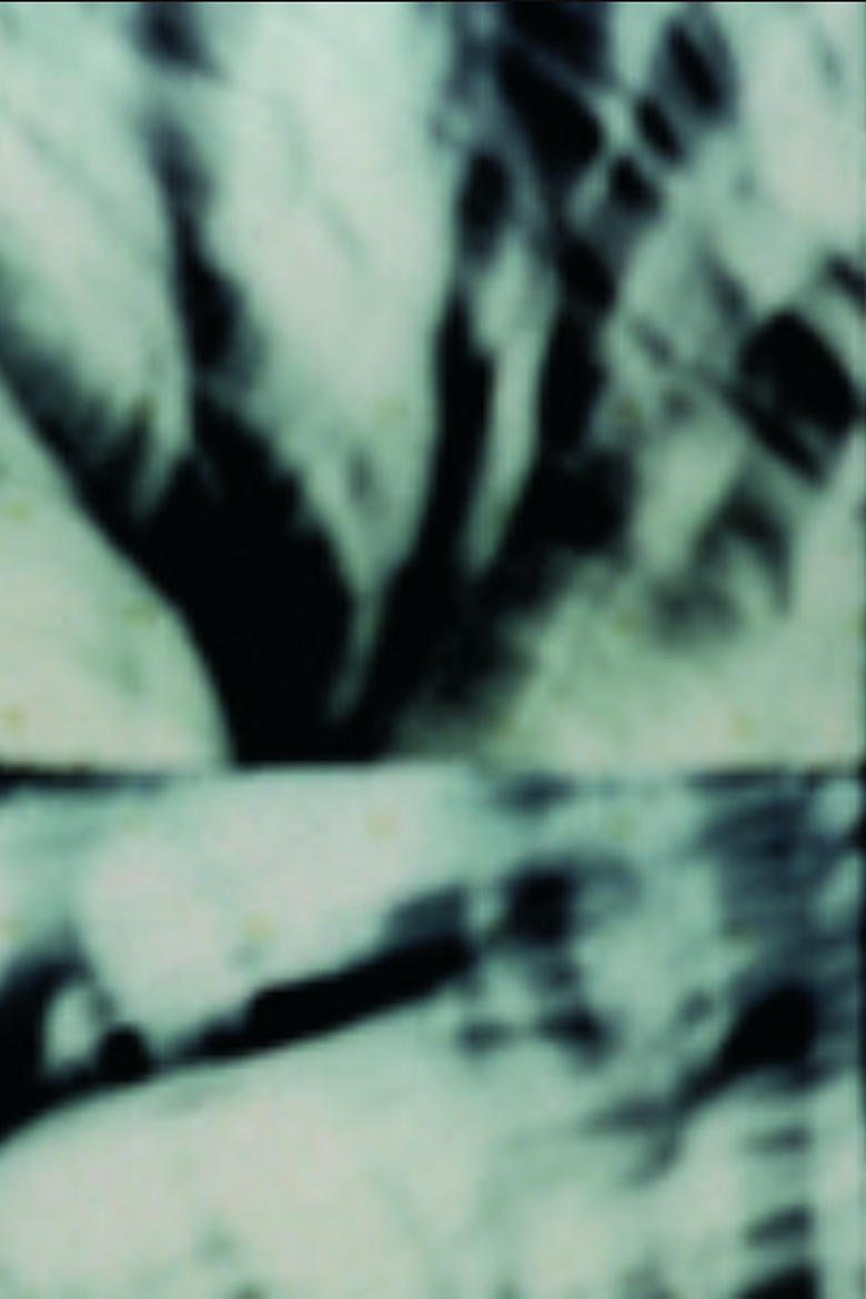 Poster of Étude pour arbre seul