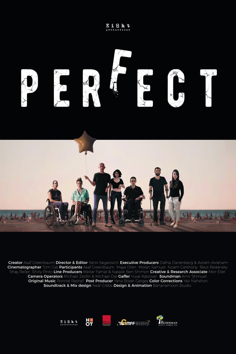 Poster of Perfect