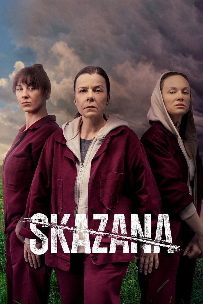 Poster of The Convict