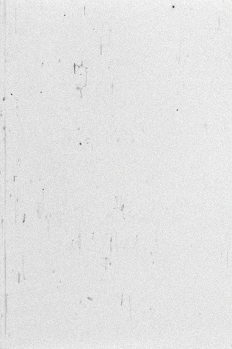 Poster of White