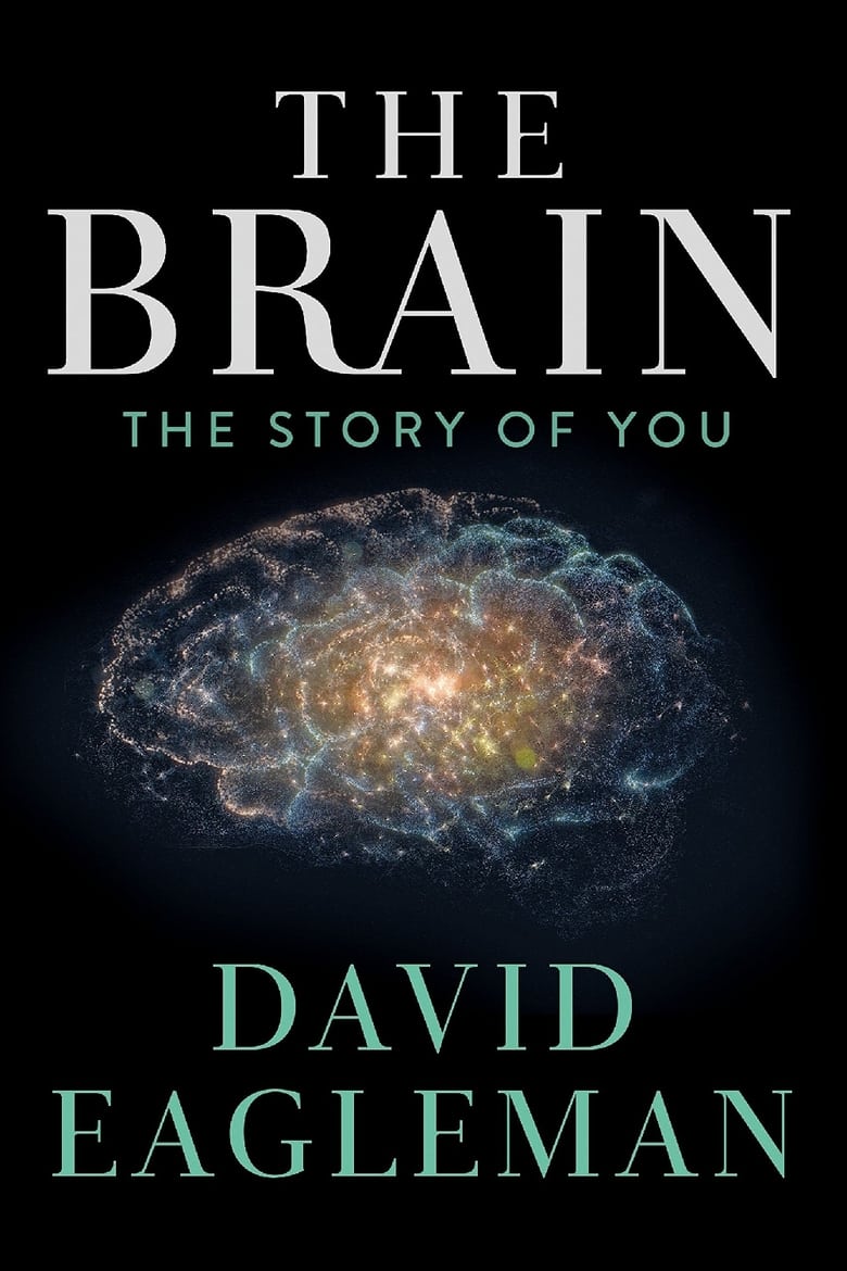 Poster of The Brain with David Eagleman