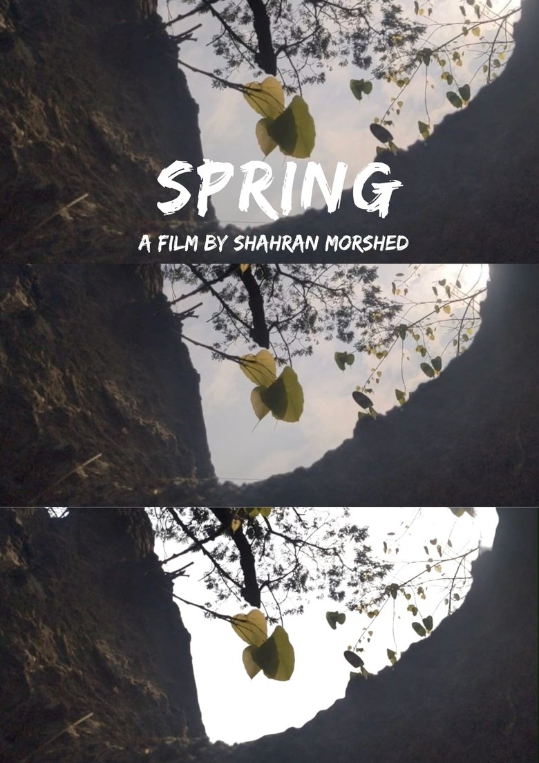 Poster of Spring