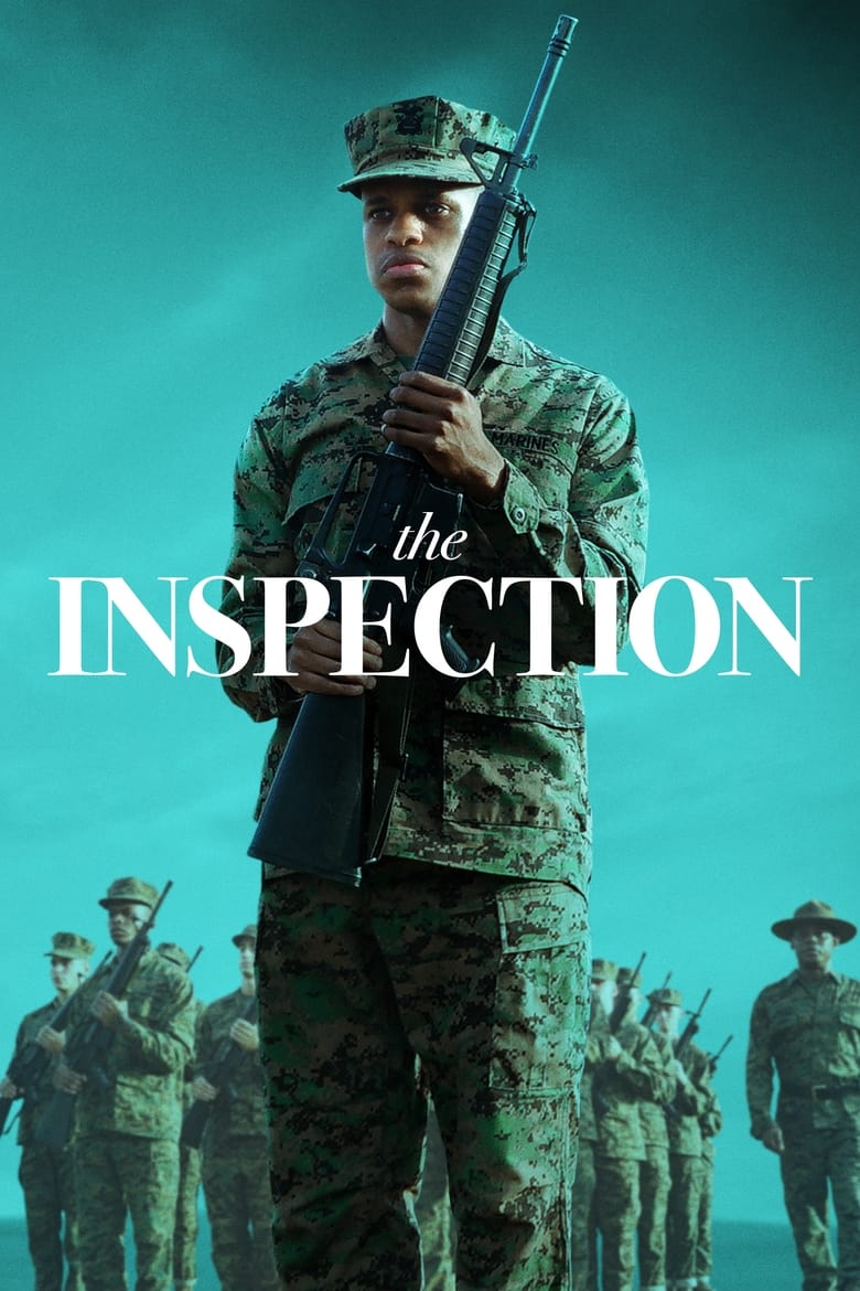 Poster of The Inspection