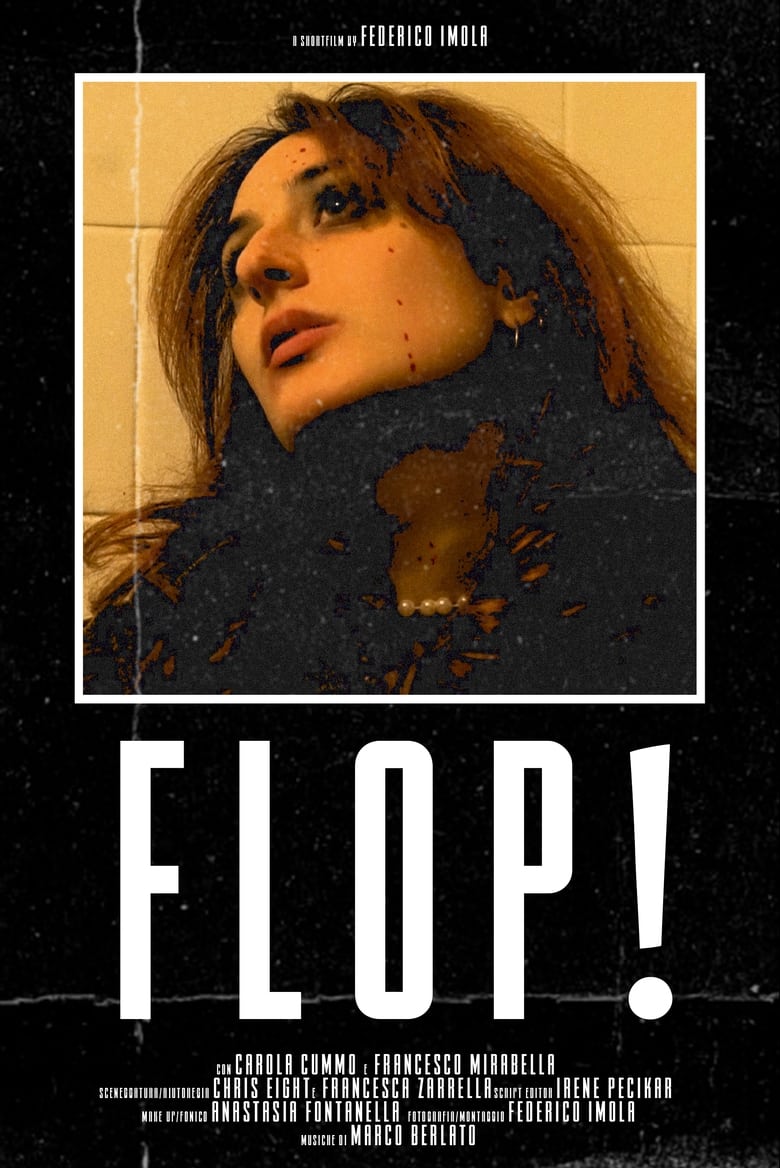 Poster of Flop!