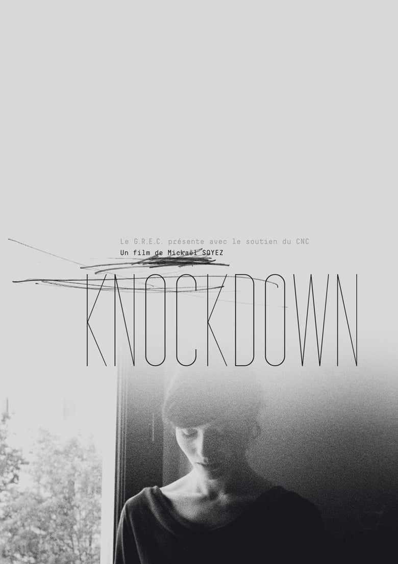 Poster of Knockdown