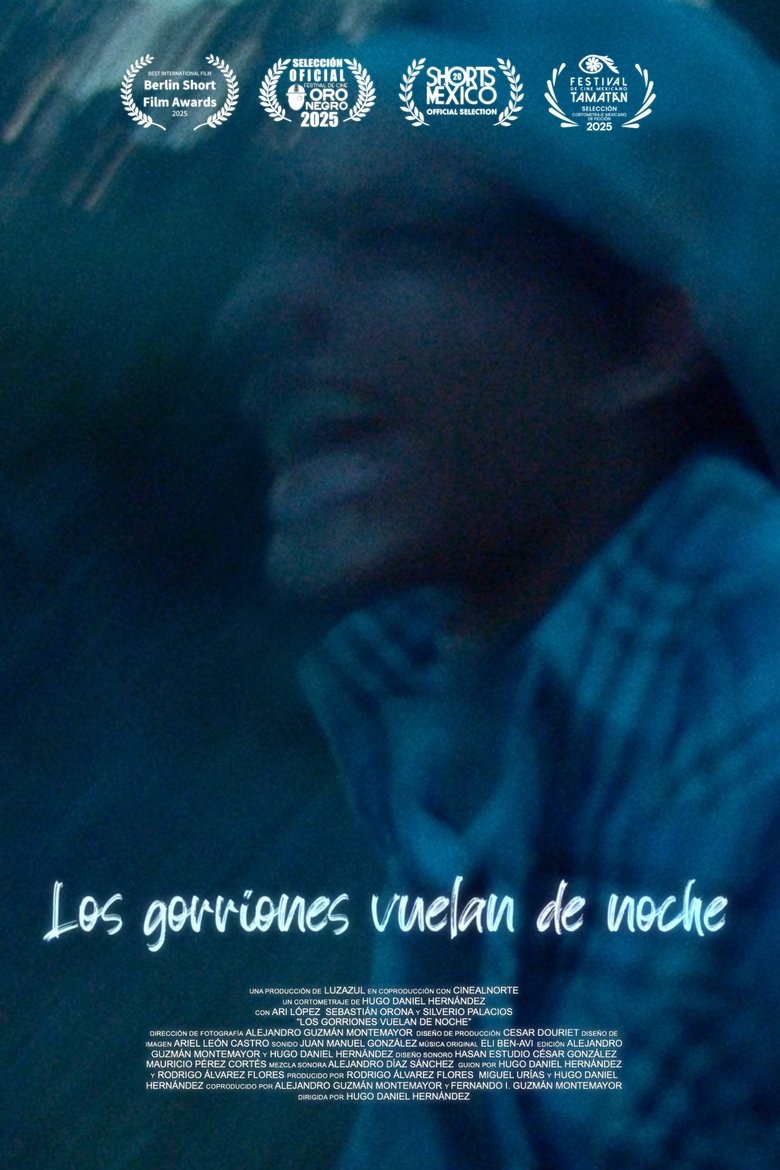 Poster of Los gorriones vuelan de noche