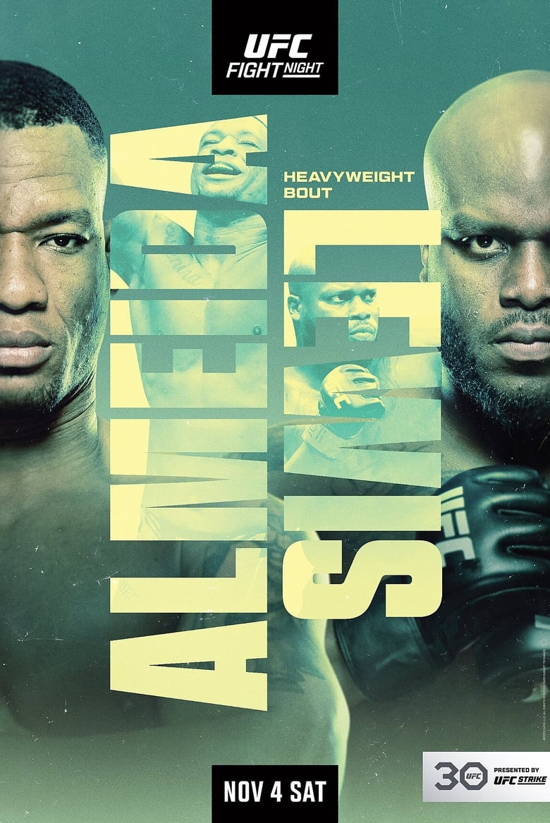 Poster of UFC Fight Night 231: Almeida vs. Lewis