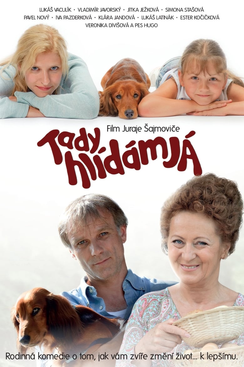 Poster of Tady hlídám já