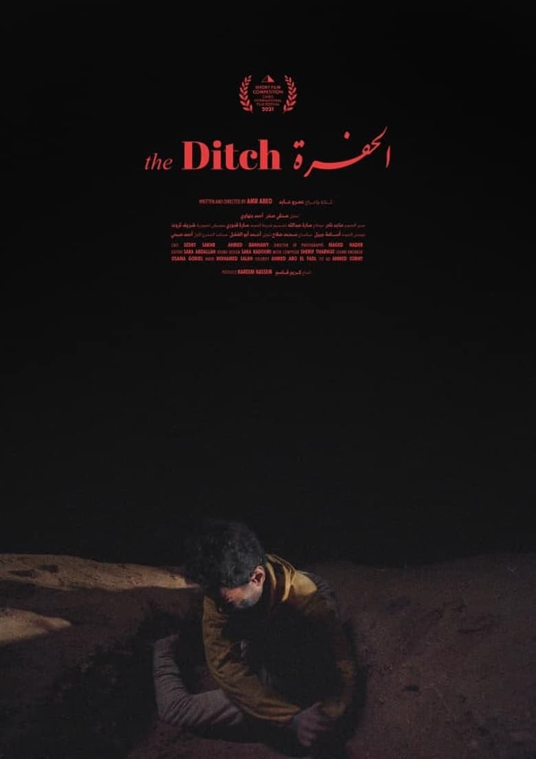 Poster of The Ditch