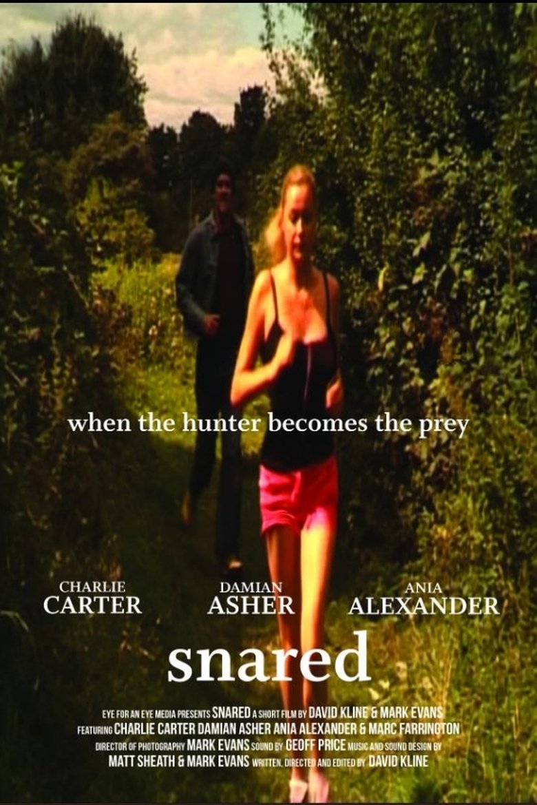 Poster of Snared