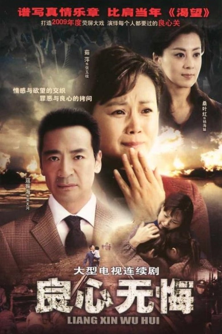 Poster of 良心无悔