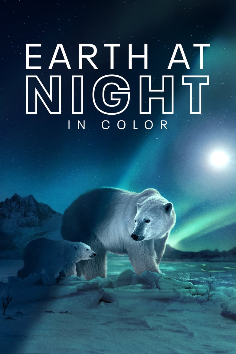 Poster of Earth at Night in Color