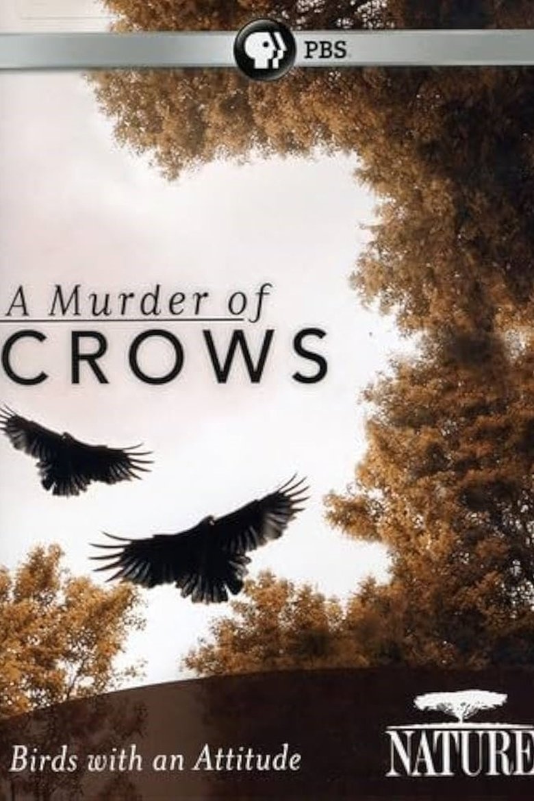 Poster of A Murder of Crows