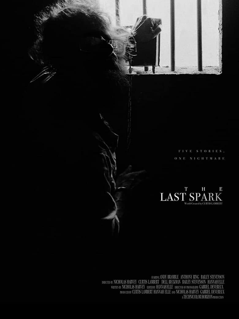 Poster of The Last Spark