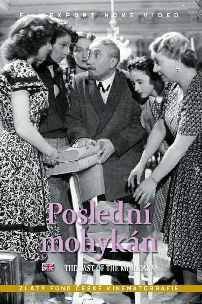 Poster of Poslední mohykán