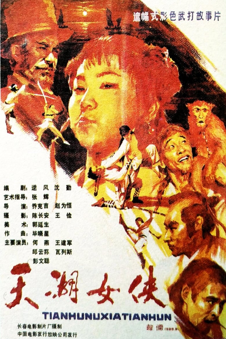 Poster of 天湖女侠