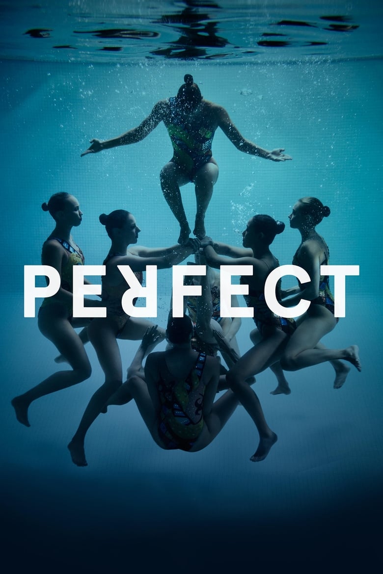 Poster of Perfect