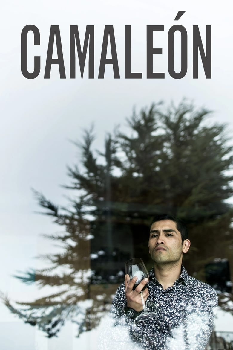 Poster of Chameleon