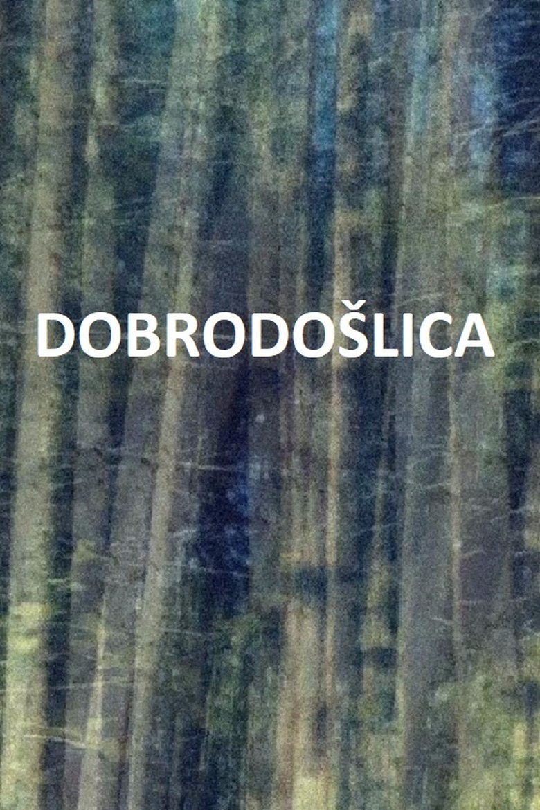 Poster of The Welcome.