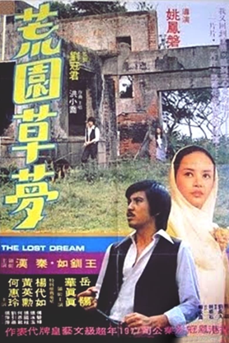 Poster of The Lost Dream