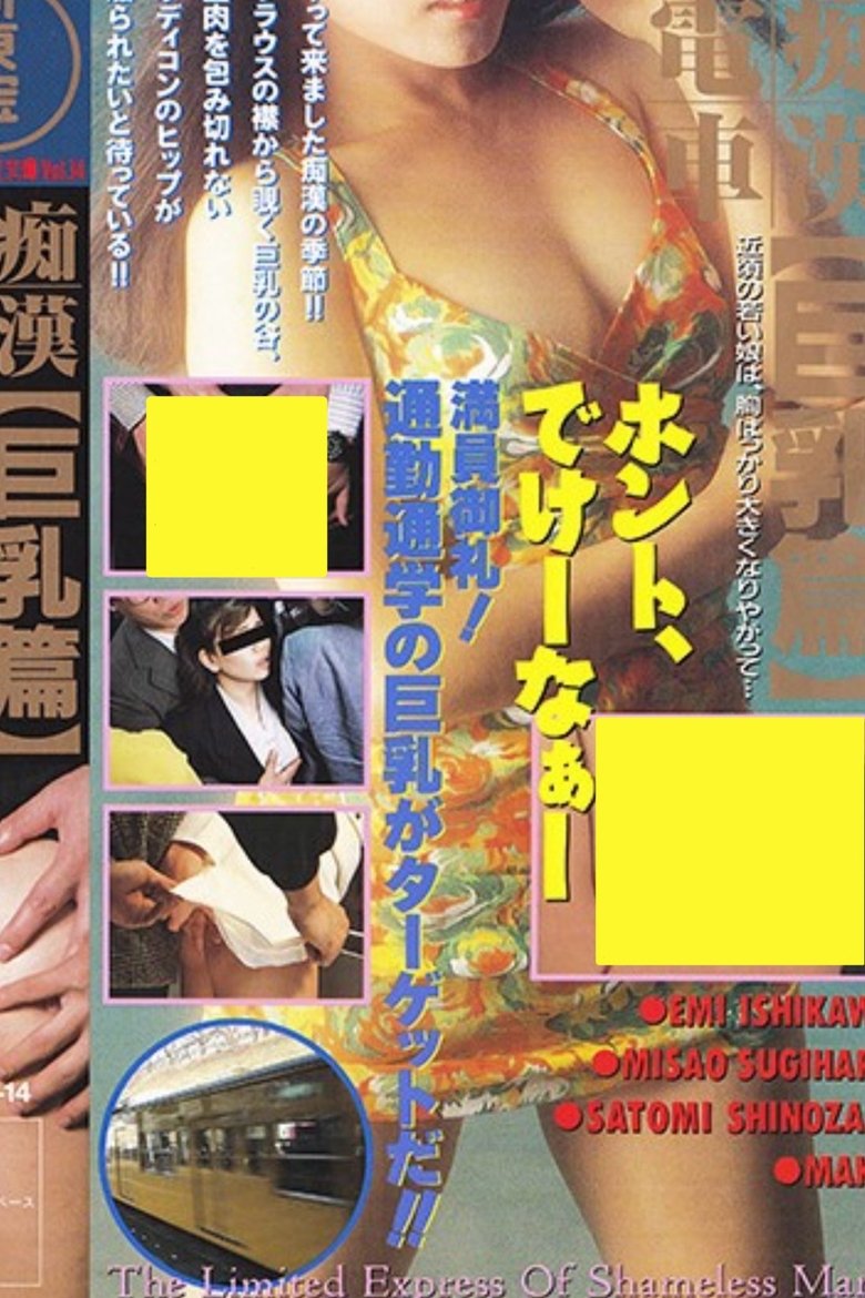 Poster of Groper Train: Lots of Big Breasts