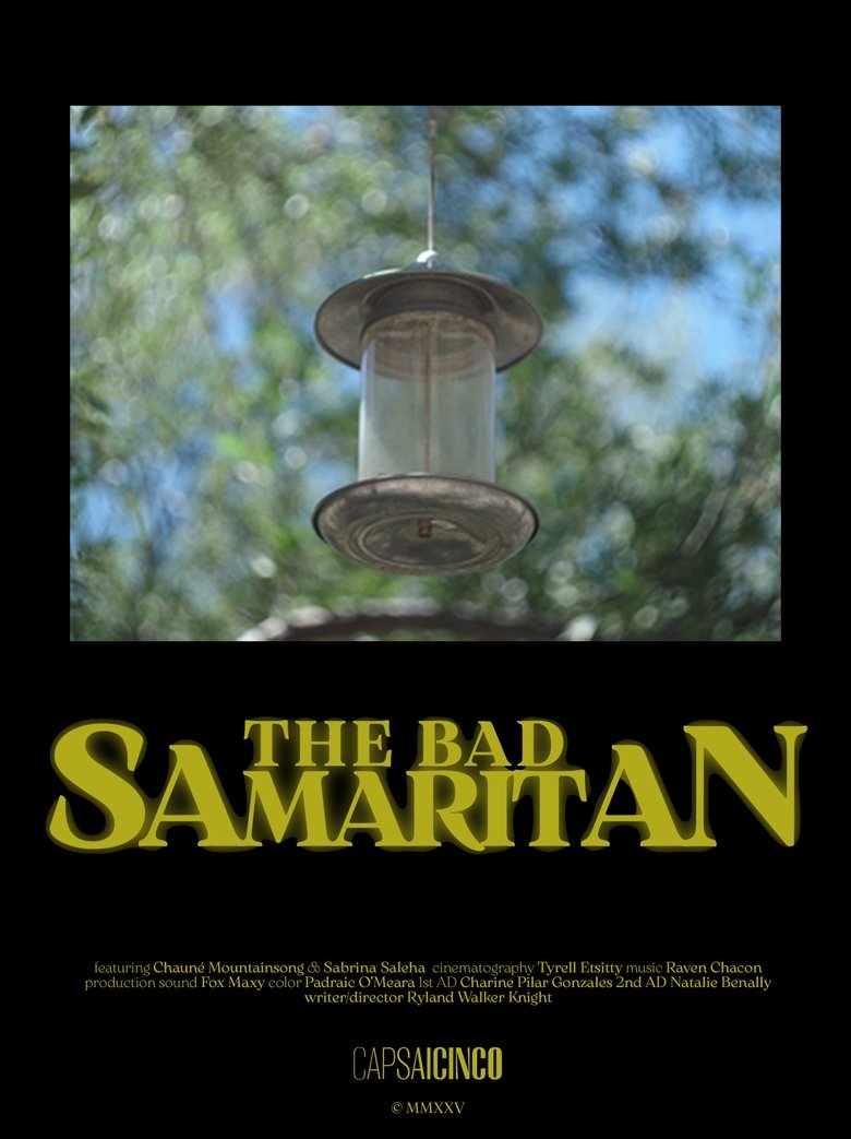 Poster of The Bad Samaritan