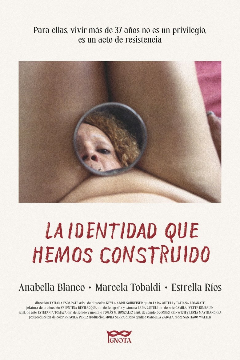 Poster of La identidad que hemos construido