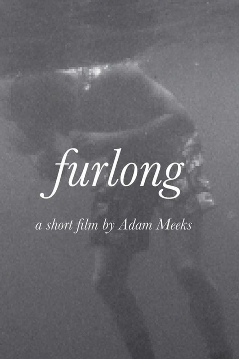 Poster of Furlong