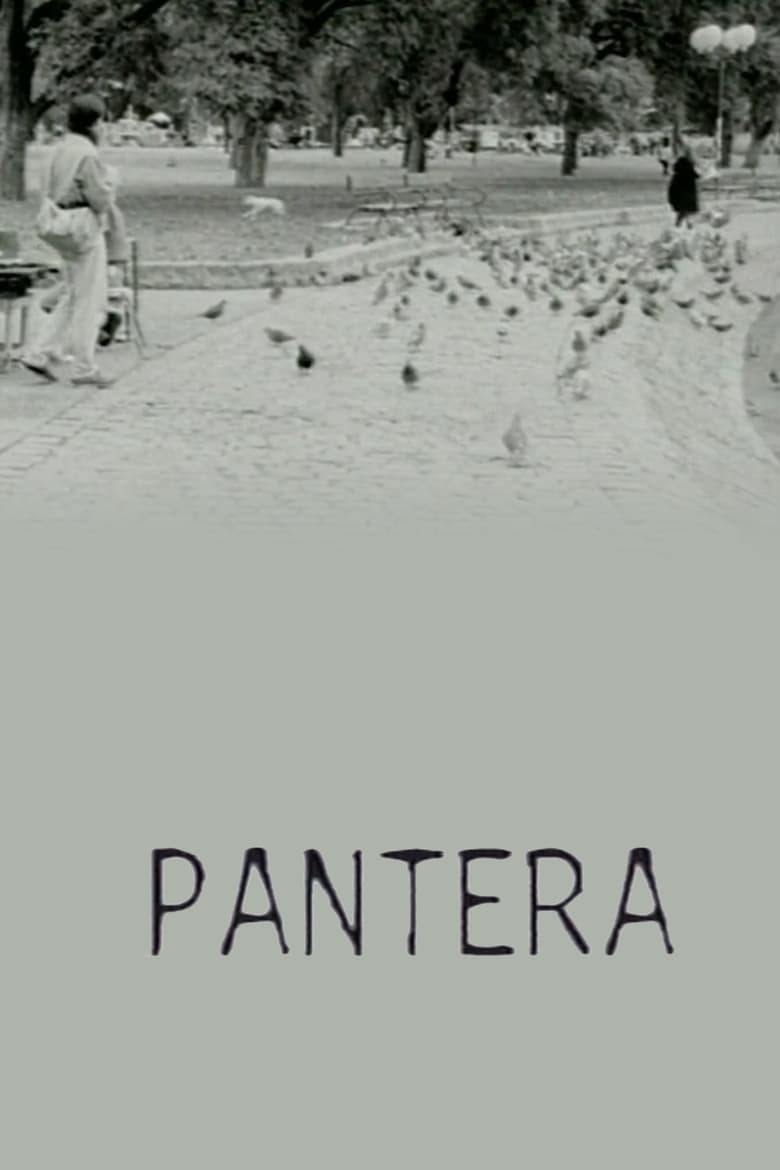 Poster of Pantera