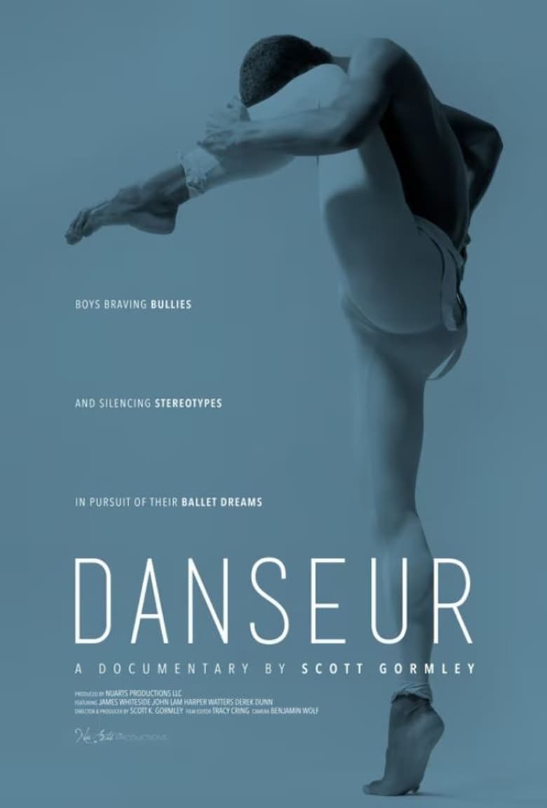 Poster of Danseur