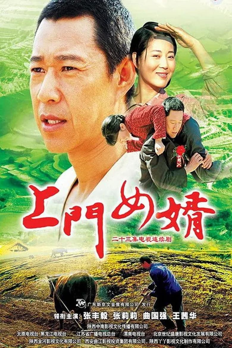 Poster of 上门女婿