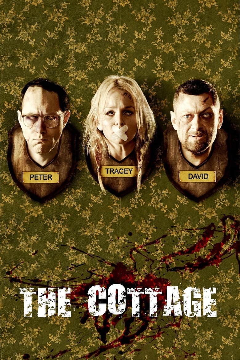 Poster of The Cottage