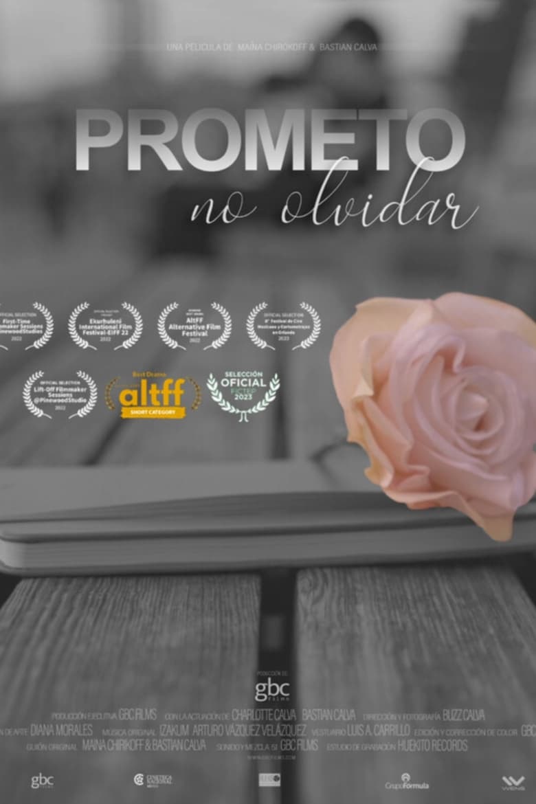 Poster of I Promise to Never Forget