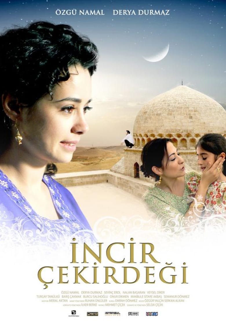 Poster of İncir Çekirdeği