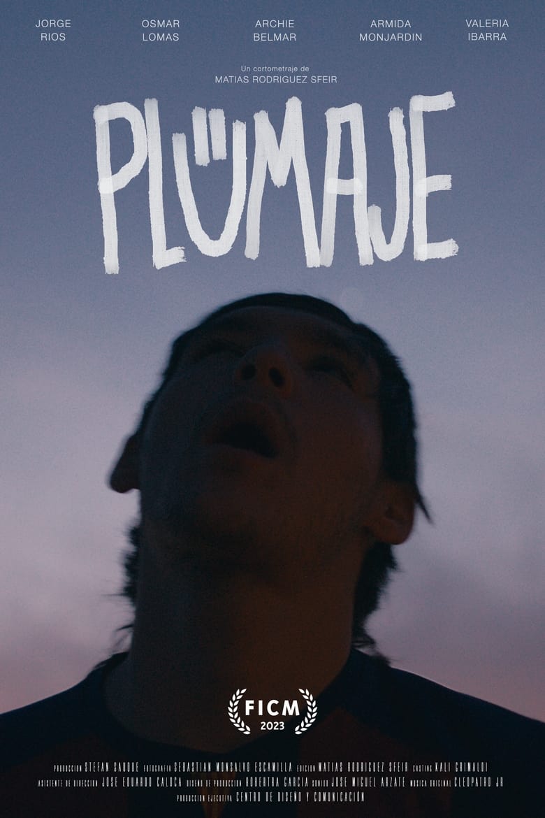 Poster of Plumaje