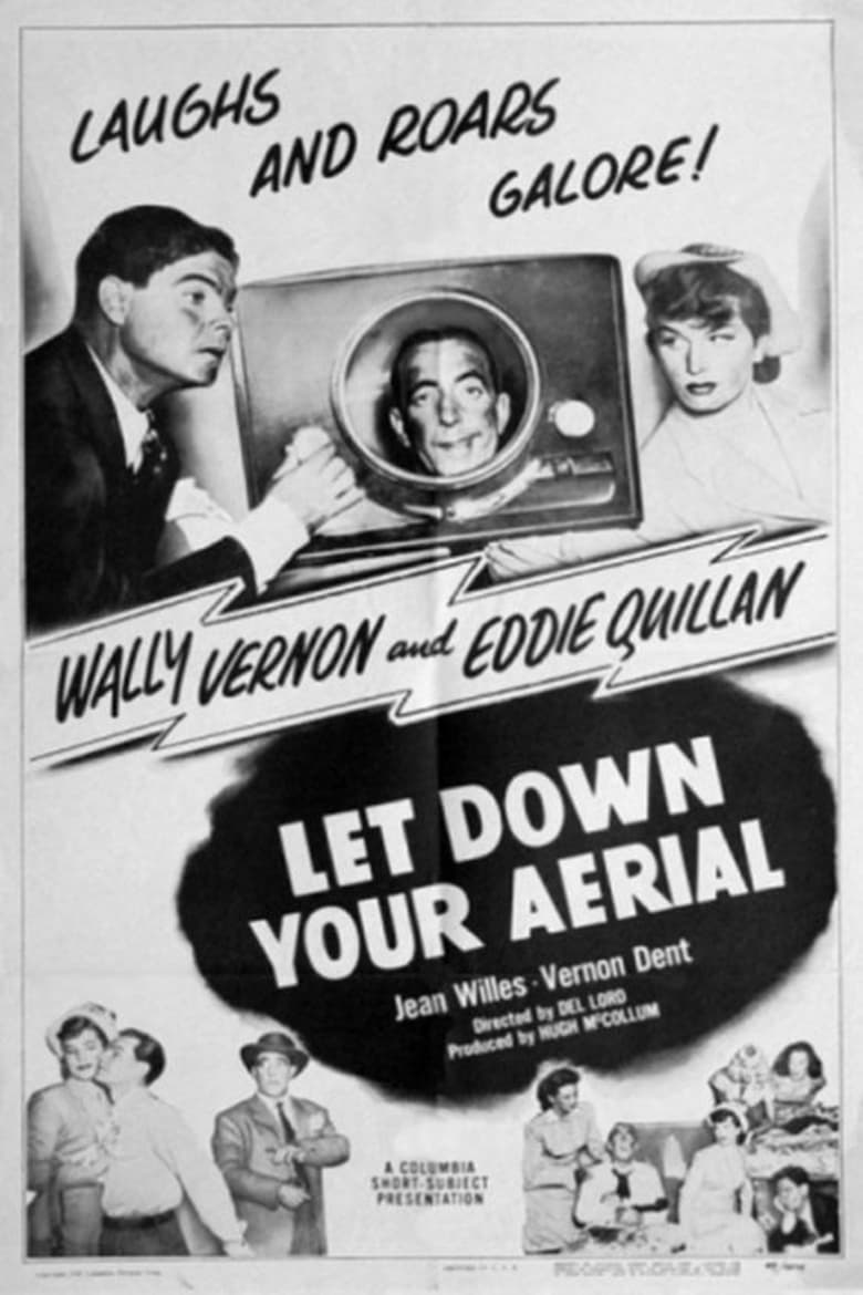 Poster of Let Down Your Aerial