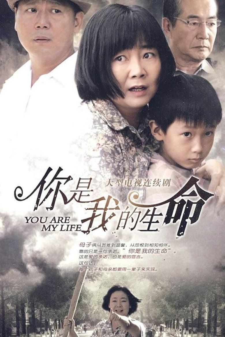 Poster of 你是我的生命