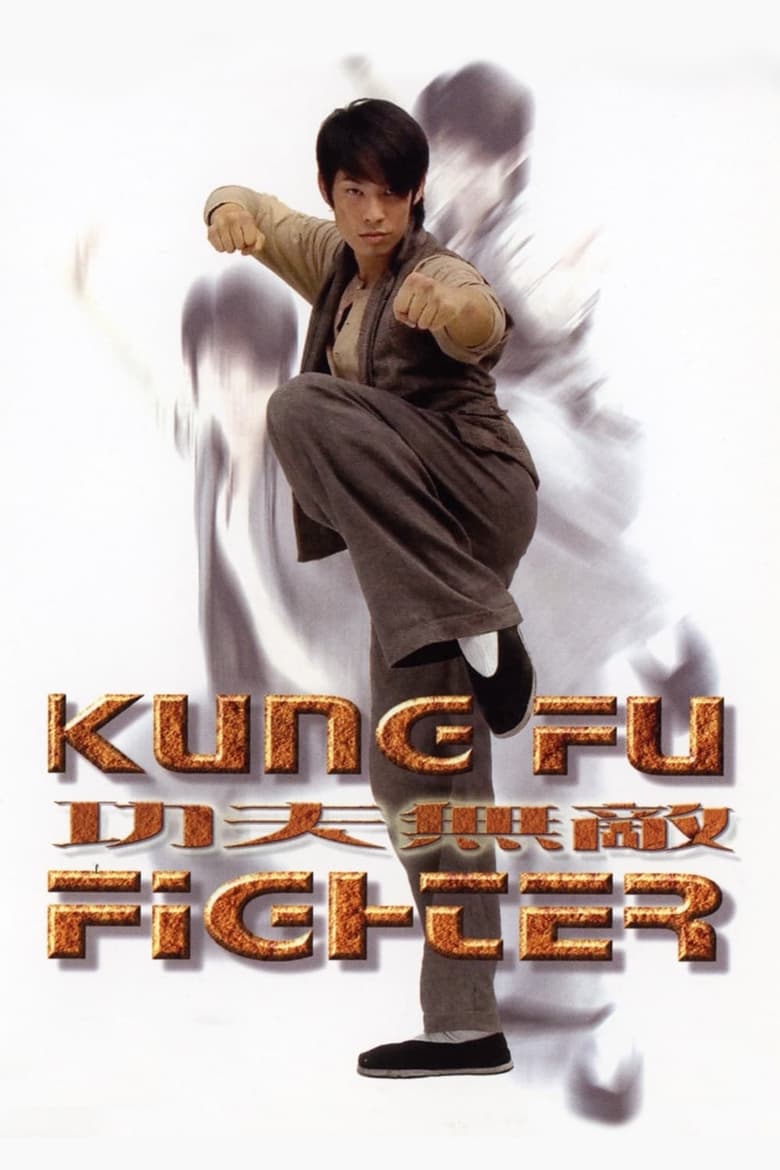 Poster of Kung Fu Fighter