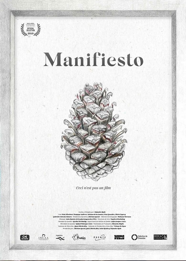 Poster of Manifiesto