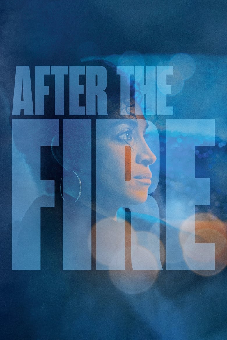 Poster of After the Fire