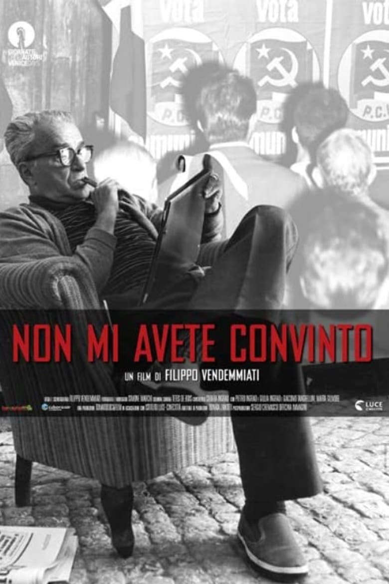 Poster of Non mi avete convinto